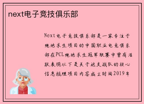 next电子竞技俱乐部